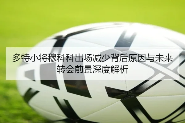 多特小将穆科科出场减少背后原因与未来转会前景深度解析