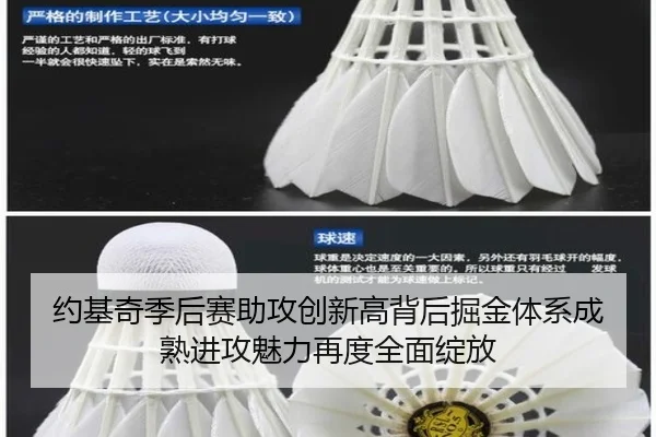 约基奇季后赛助攻创新高背后掘金体系成熟进攻魅力再度全面绽放